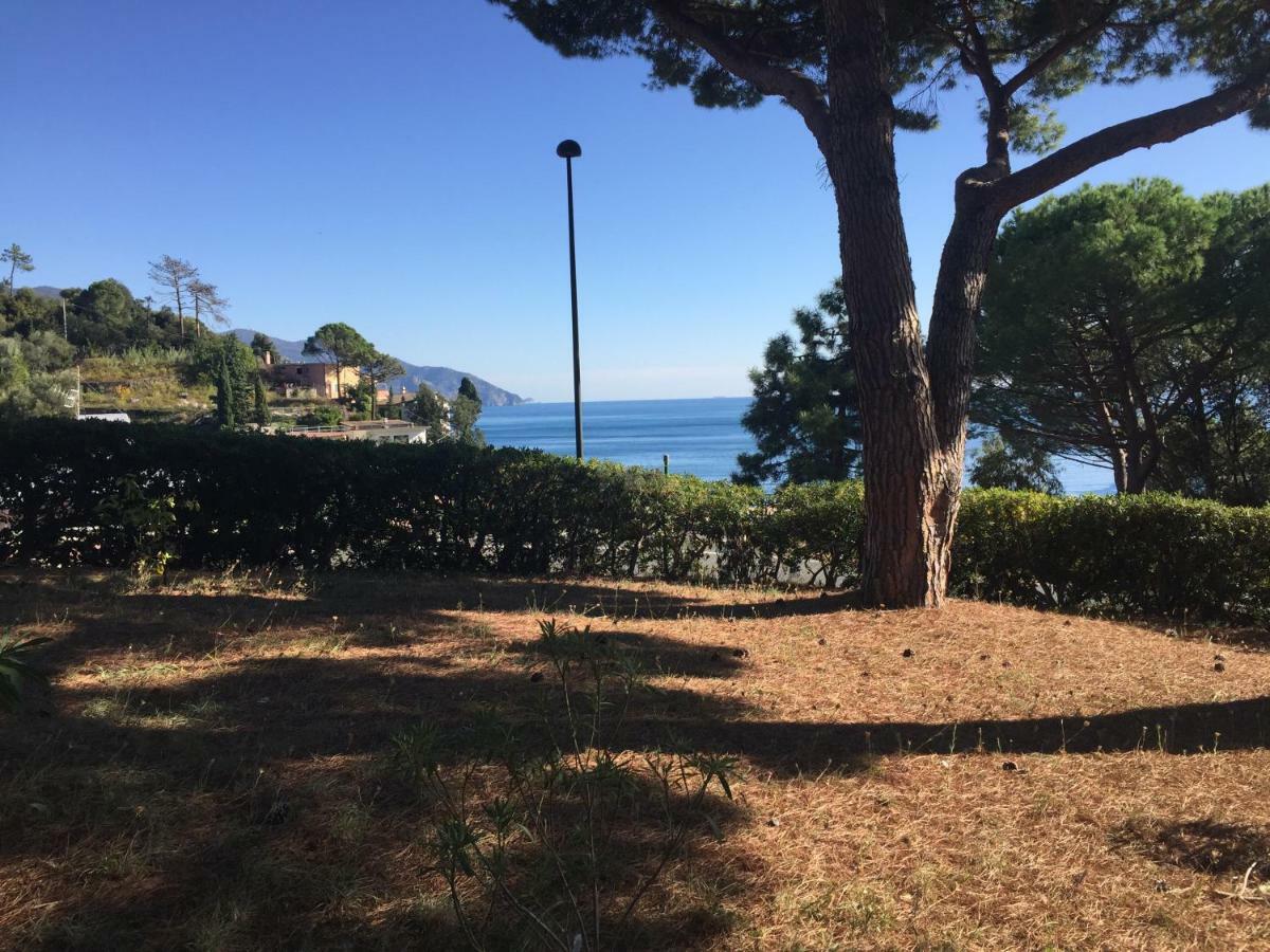Il Nido Della Gazza Lägenhet Monterosso al Mare Exteriör bild